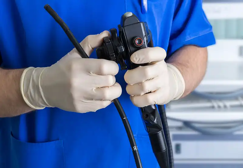 Endoscopet medicina veterinária