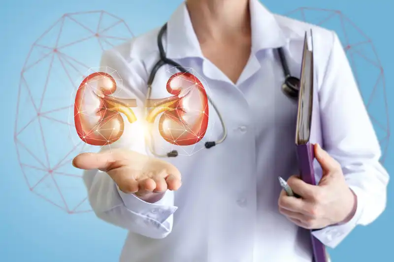 Veterinário especialista em nefrologia